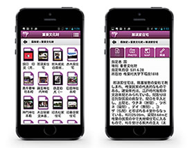 開発実績